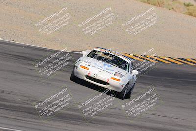 media/Oct-14-2023-Lucky Dog Racing (Sat) [[cef75db616]]/Turn 12 Exit-Bowl Backside (230pm)/